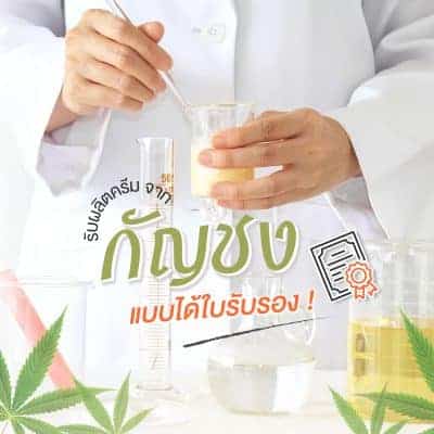 รับผลิตครีมจากกัญชง บทความ 01