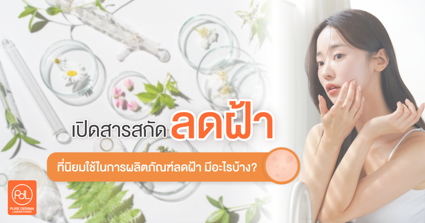 สารสกัดลดฝ้า