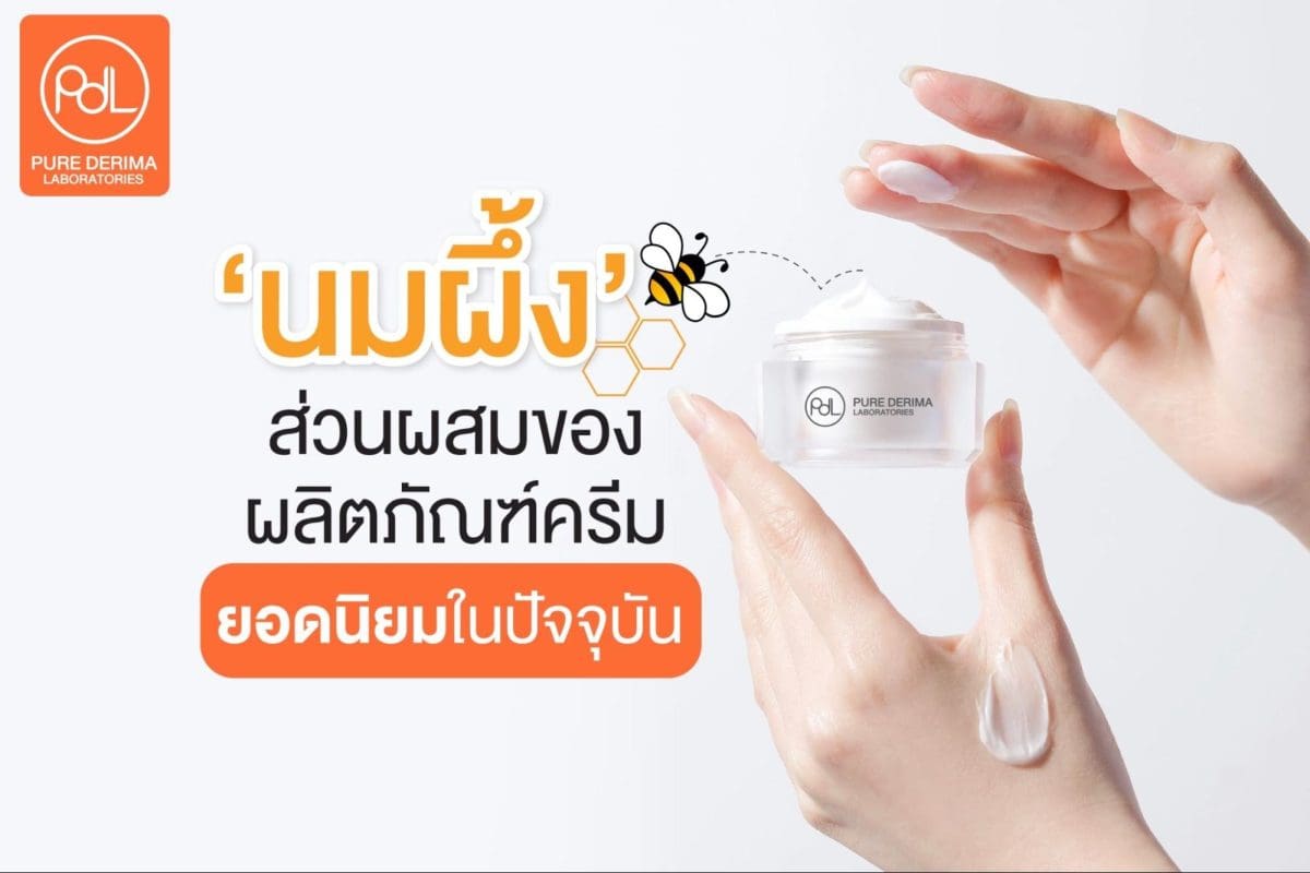 นมผึ้ง 2024