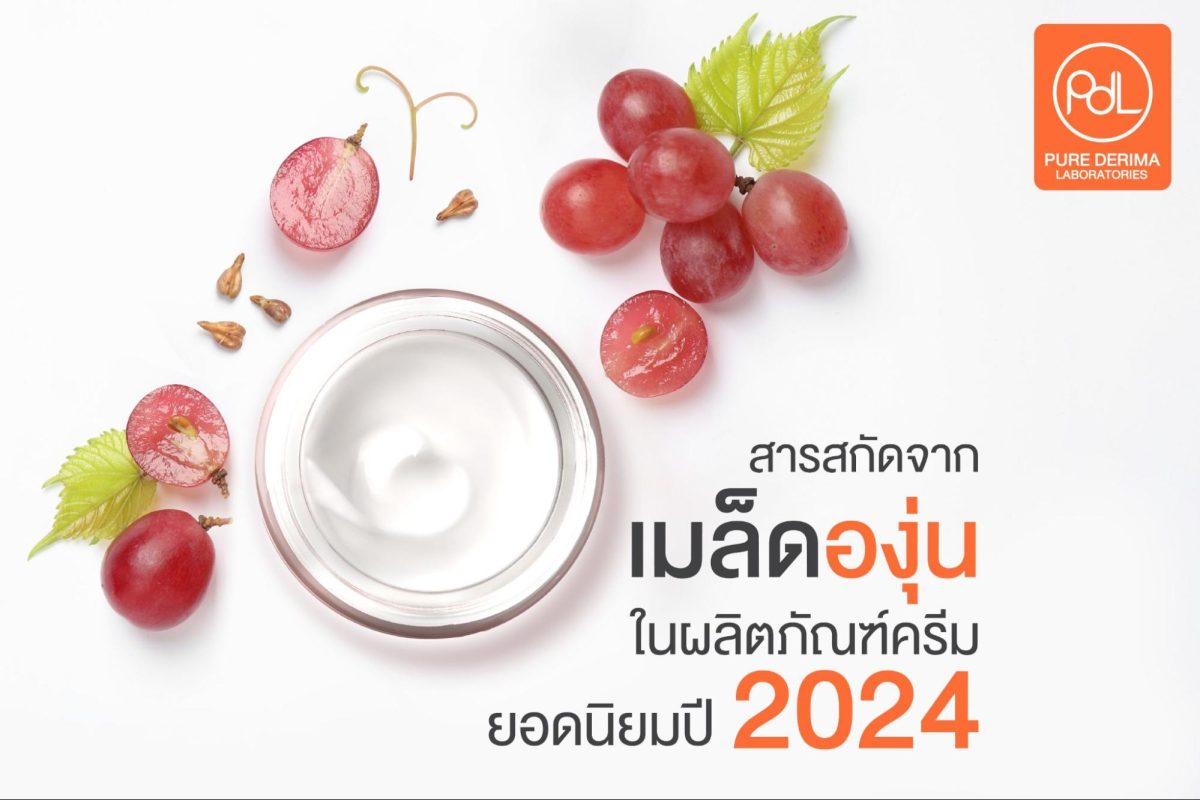 สารสกัดจากเมล็ดองุ่น 2024