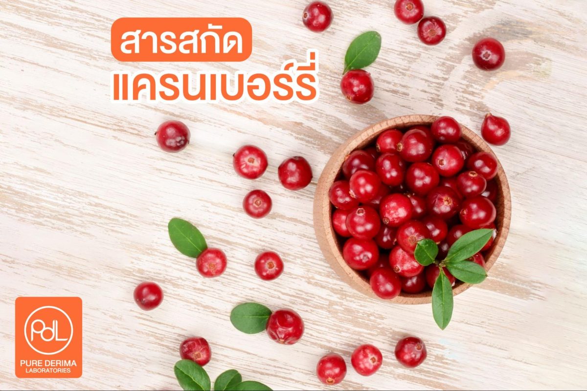 Mixberry สารสกัดแครนเบอร์รี่