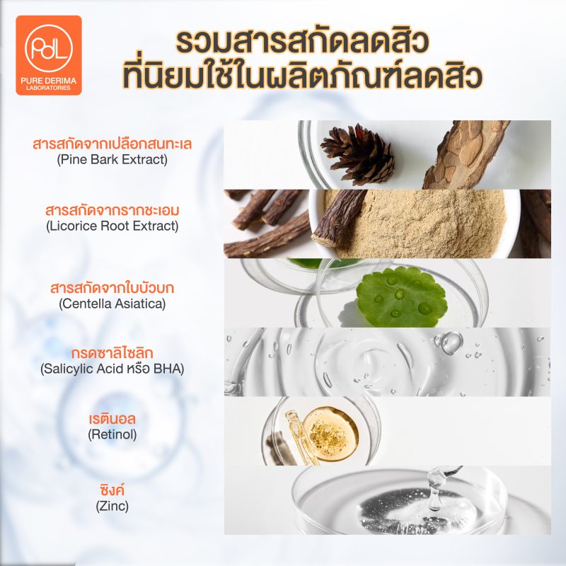 รวมสารสกัดลดสิวที่นิยมใช้ในผลิตภัณฑ์ลดสิว
