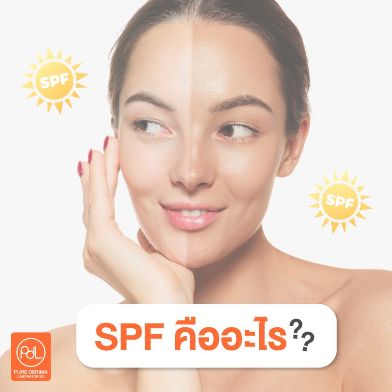SPF คืออะไร