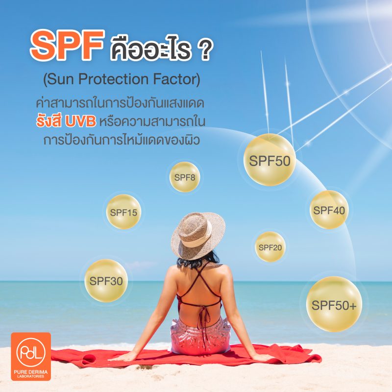 SPF คืออะไร