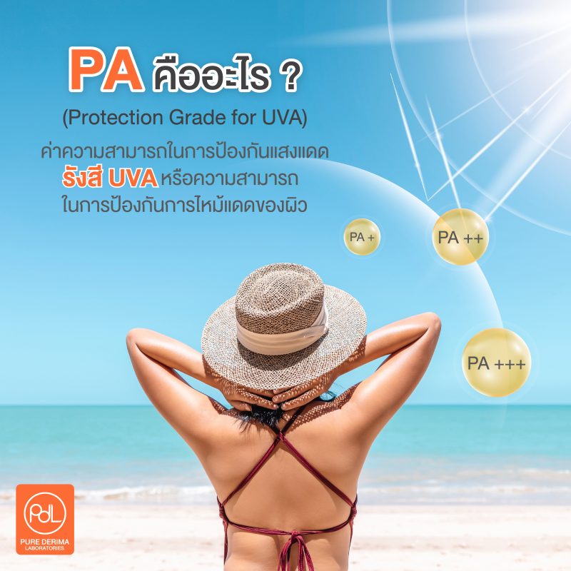 PA คืออะไร