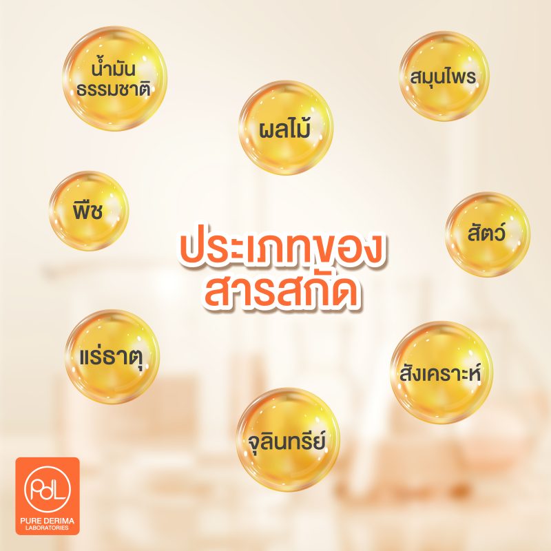 ประเภทของสารสกัด