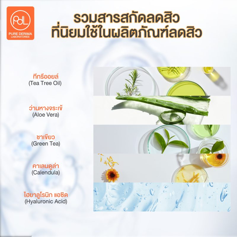 รวมสารสกัดลดสิวที่นิยมใช้ในผลิตภัณฑ์ลดสิว
