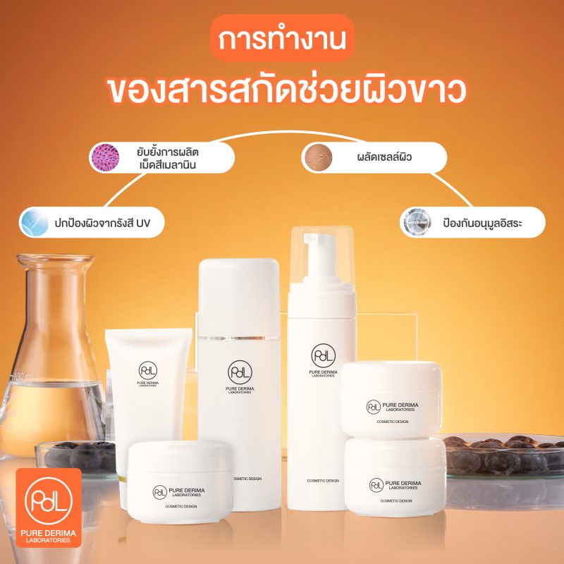 การทำงานของสารสกัดที่ทำให้ผิวขาว