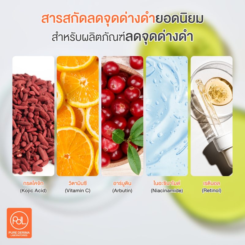 สารสกัดลดจุดด่างดำ