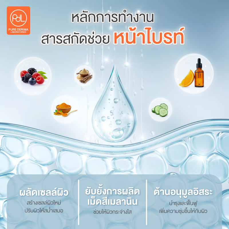 หลักการทำงานสารสกัดช่วยหน้าไบรท์