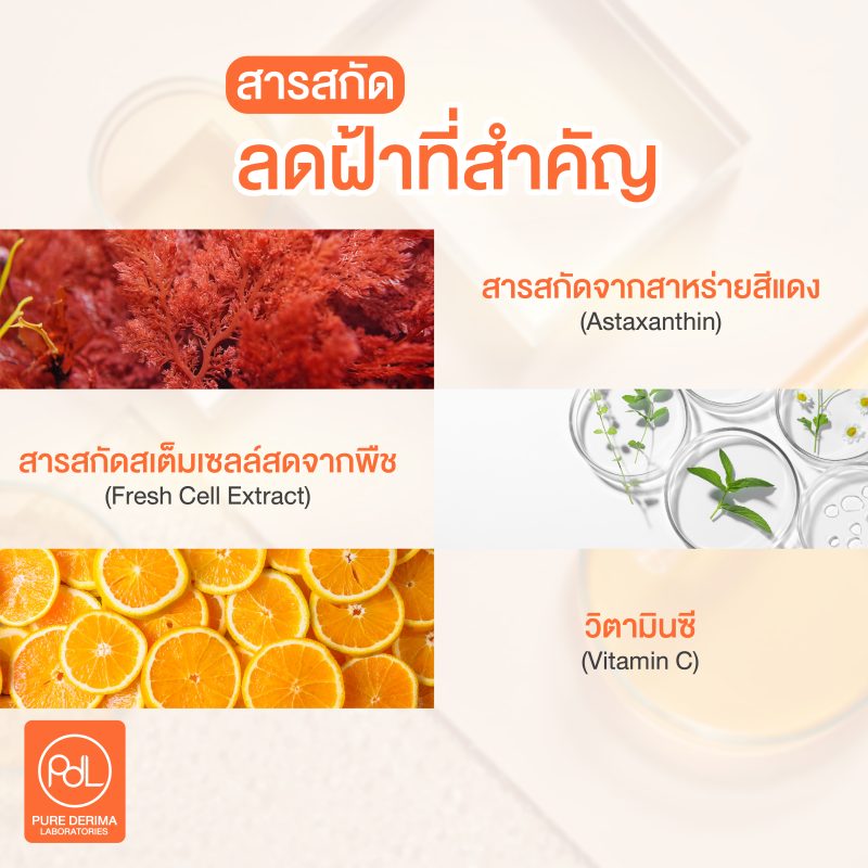 สารสกัดลดฝ้าที่สำคัญ