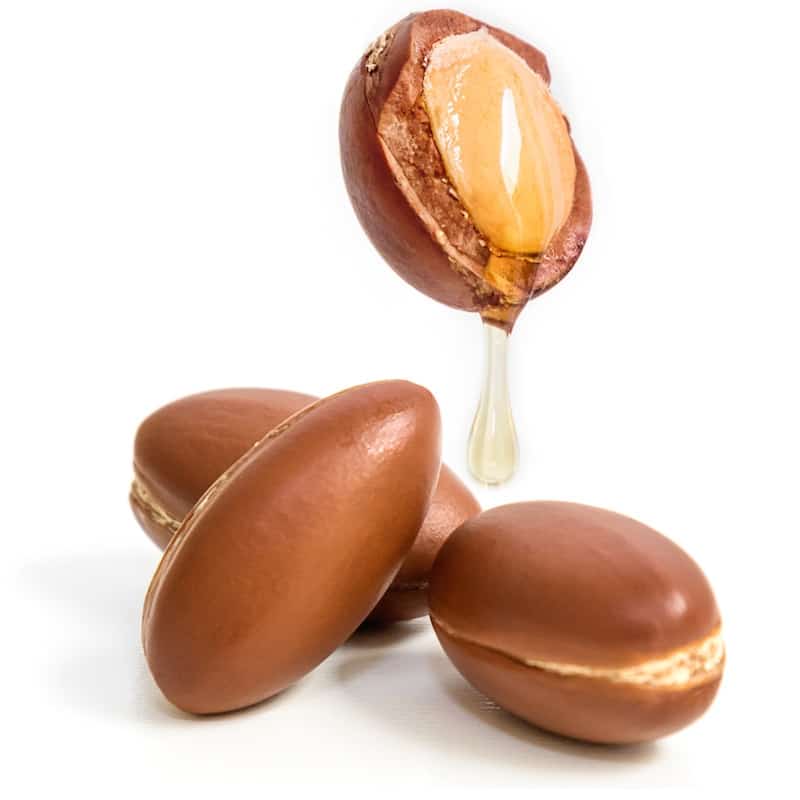 Argan Nut Oil Morocco