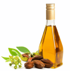 Jojoba Oil 1
