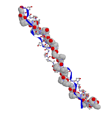 collagen