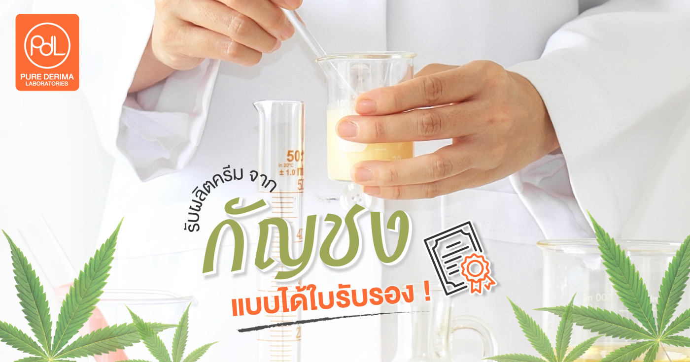 กัญชง