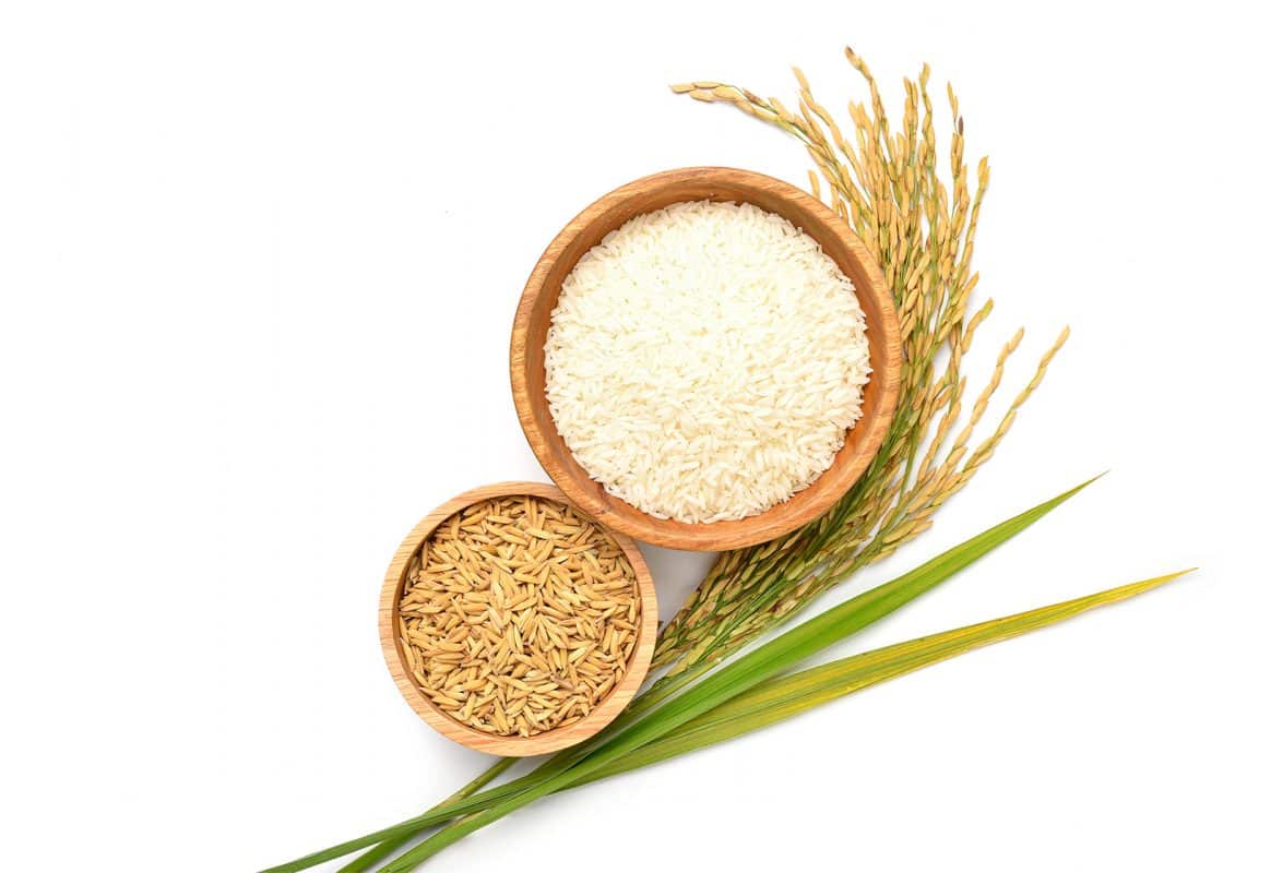 rice seeds