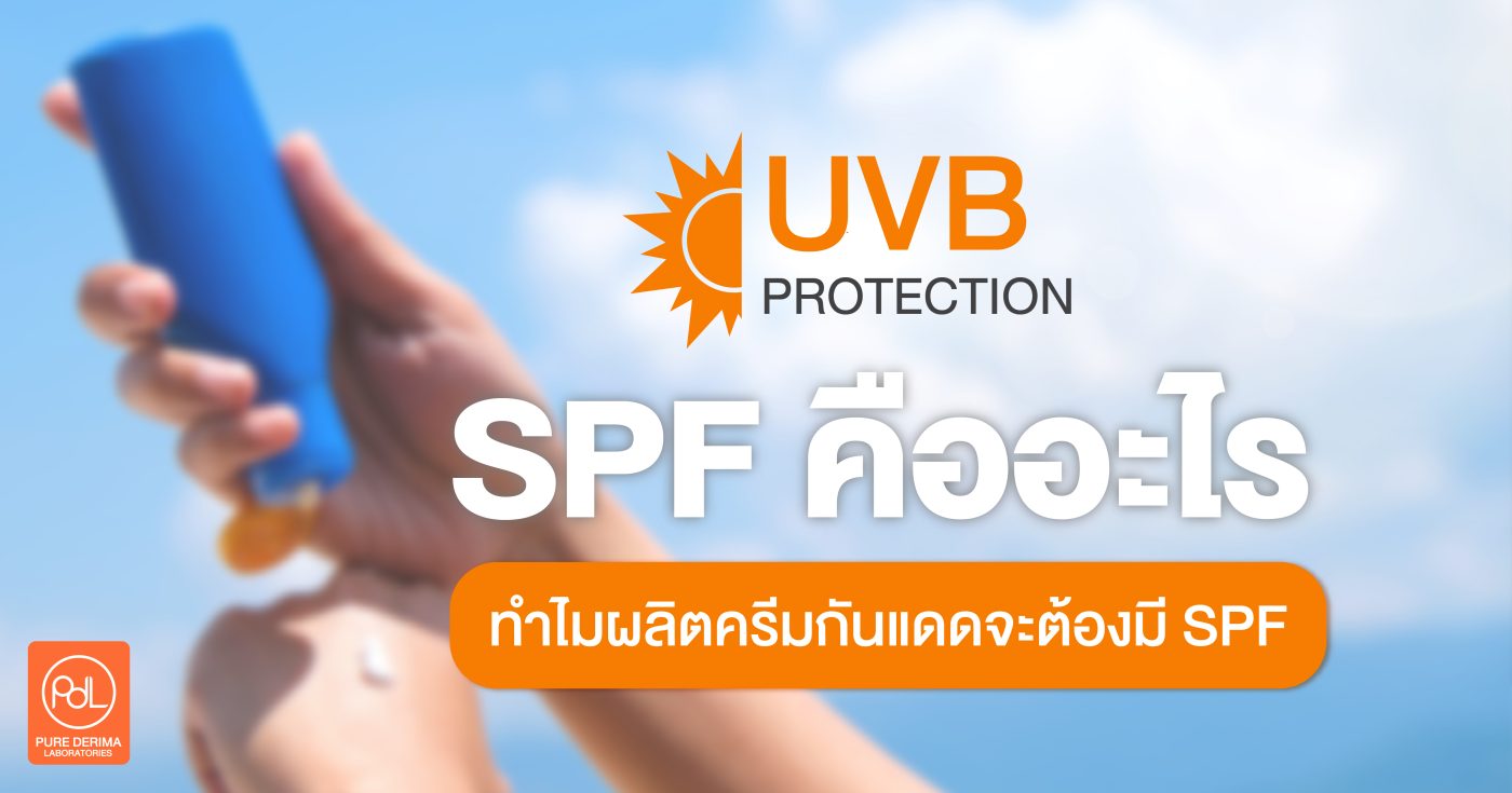 SPF คืออะไร ทำไมผลิตครีมกันแดดจะต้องมี SPF