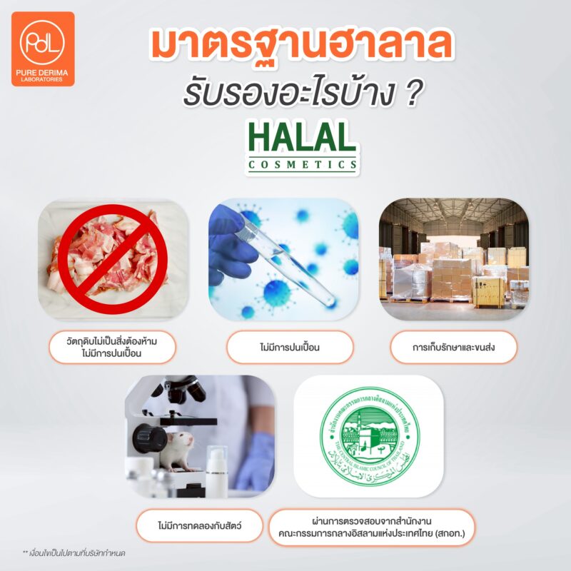 มาตรฐานฮาลาล รับรองอะไรบ้าง ?