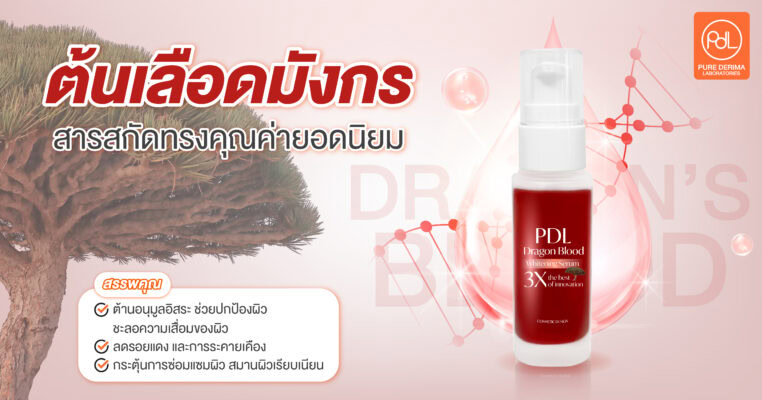 สารสกัดจากต้น Dragon’s Blood หรือเลือดมังกร