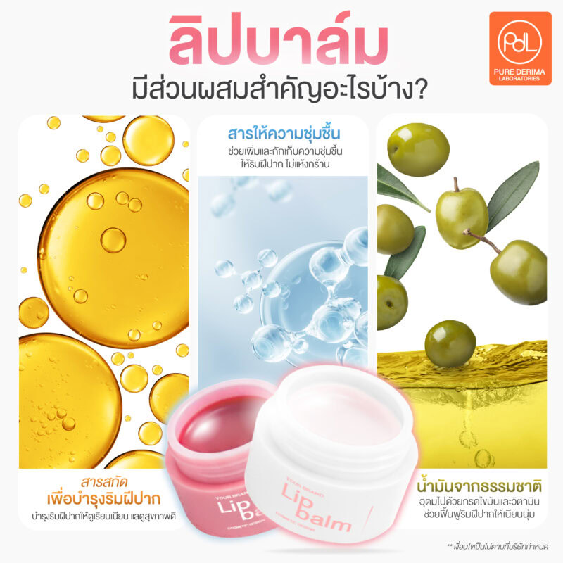 ลิปบาล์มมีส่วนผสมสำคัญอะไรบ้าง?