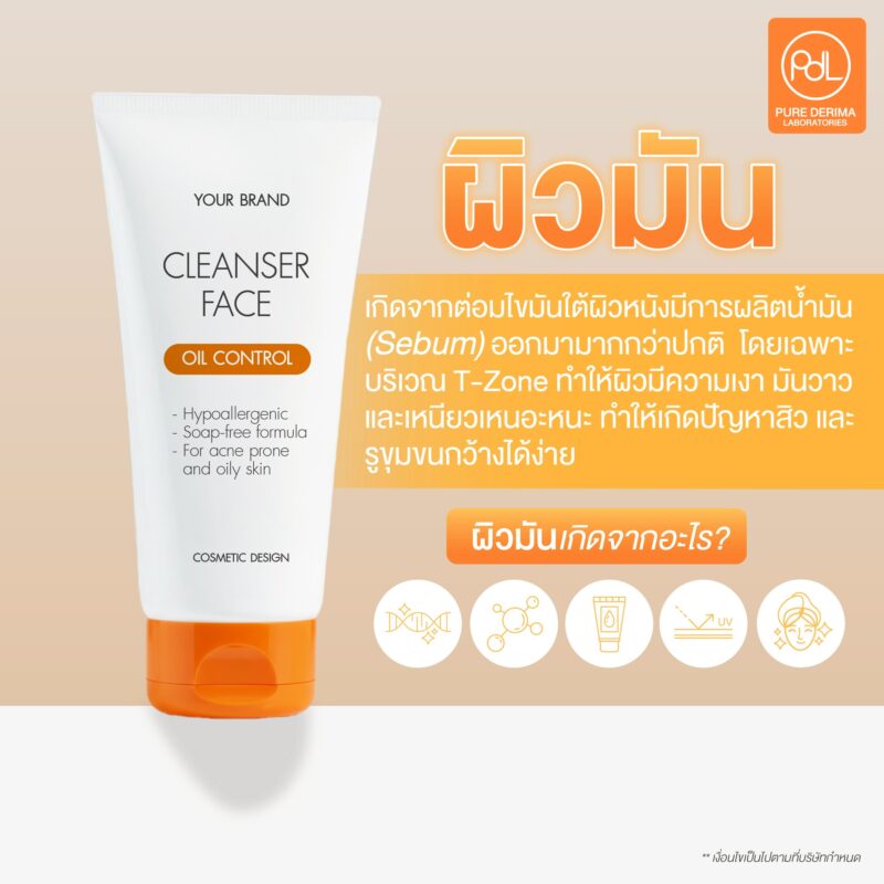 ลักษณะของผิวมัน เป็นอย่างไร