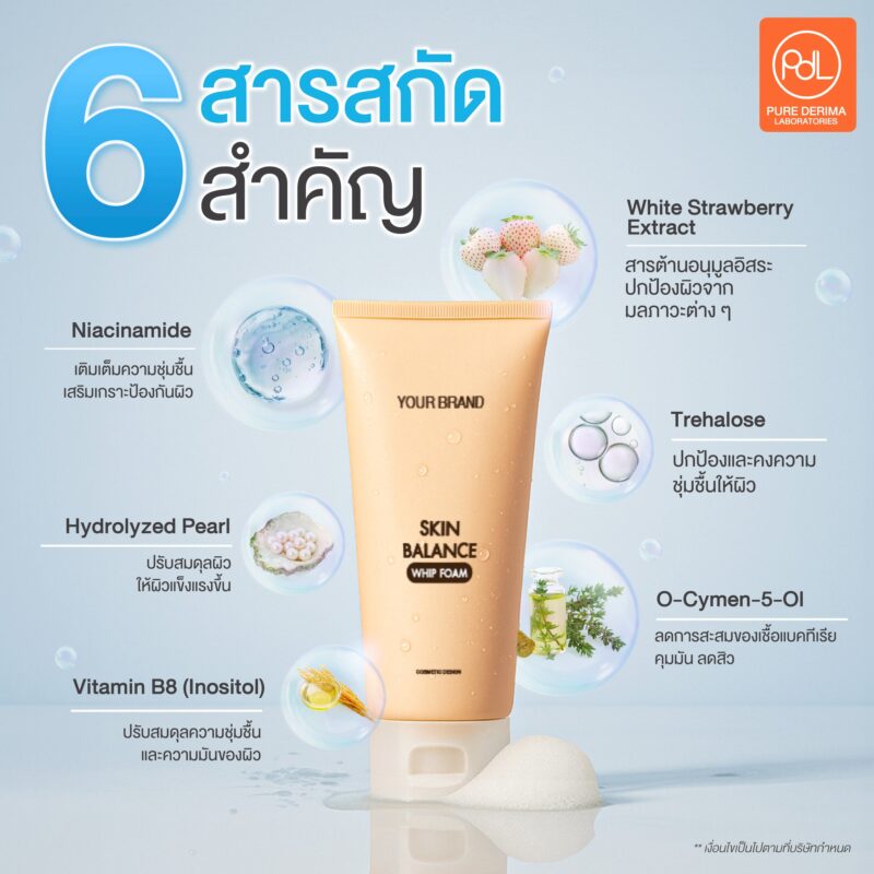โฟมล้างหน้า มีกี่ประเภท? เจาะลึกสูตรโฟมล้างหน้าสูตรอ่อนโยน พร้อมแนวทางพัฒนาสูตรกับโรงงานรับผลิต 5 6 สารสกัดสำคัญในโฟมล้างหน้า PDL Skin Balance Whip Foam