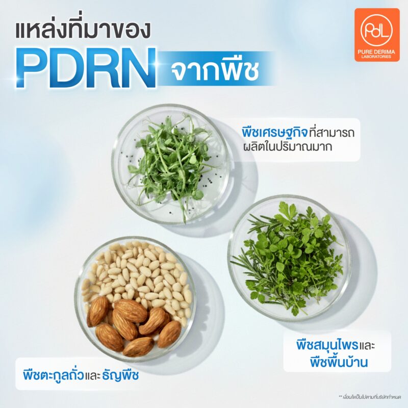 PDRN จากพืชมาจากไหน