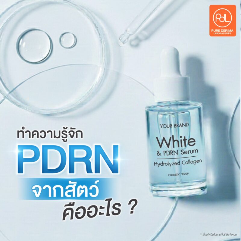 PDRN จากสัตว์คืออะไร ?