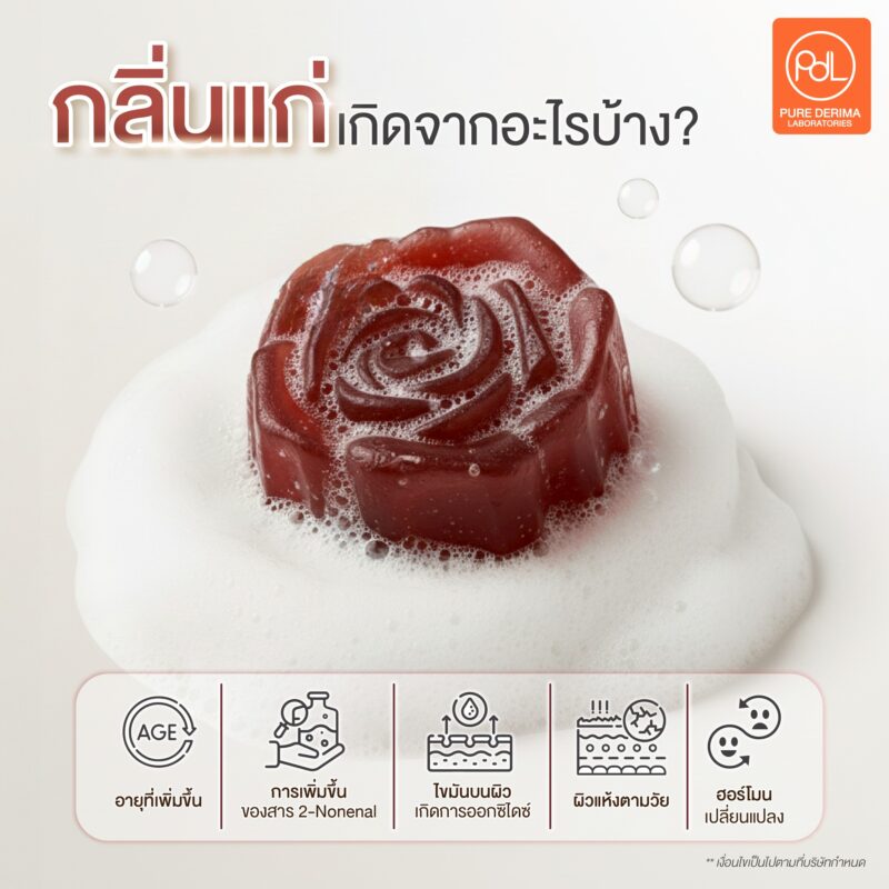 สบู่ดับกลิ่นแก่ คืออะไร? ตัวช่วยลดกลิ่นอับต่างจากสบู่ทั่วไปไหม 2 กลิ่นแก่เกิดจากอะไรบ้าง?