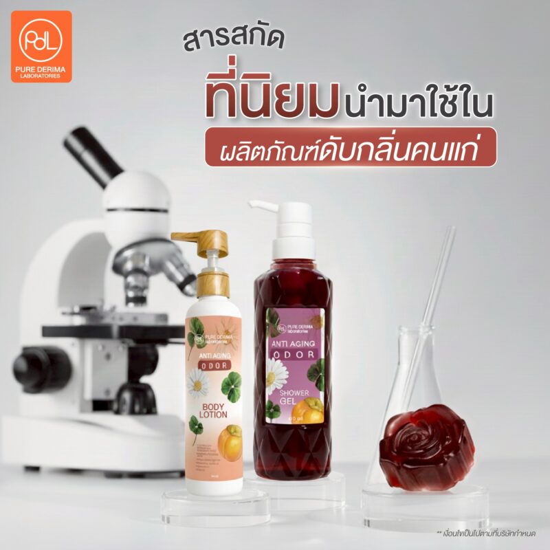เปิดลิสต์! 10 สารสกัดที่นิยมนำมาใช้ในผลิตภัณฑ์ดับกลิ่นคนแก่ มีอะไรบ้าง? 3 สารสกัดที่นิยมนำมาใช้ในผลิตภัณฑ์ดับกลิ่นคนแก่