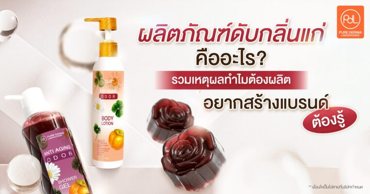 ผลิตภัณฑ์ดับกลิ่นแก่