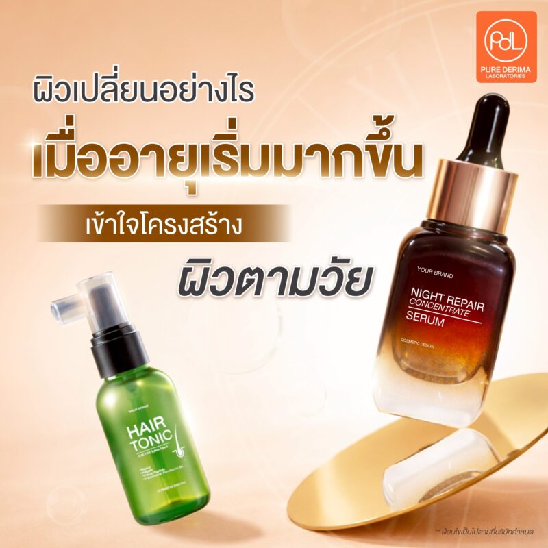 ทำไมต้องใช้ผลิตภัณฑ์ชะลอวัย ความสำคัญของการดูแลผิวตามวัย 2 ผิวเปลี่ยนอย่างไรเมื่ออายุเริ่มมากขึ้น เข้าใจโครงสร้างผิวตามวัย
