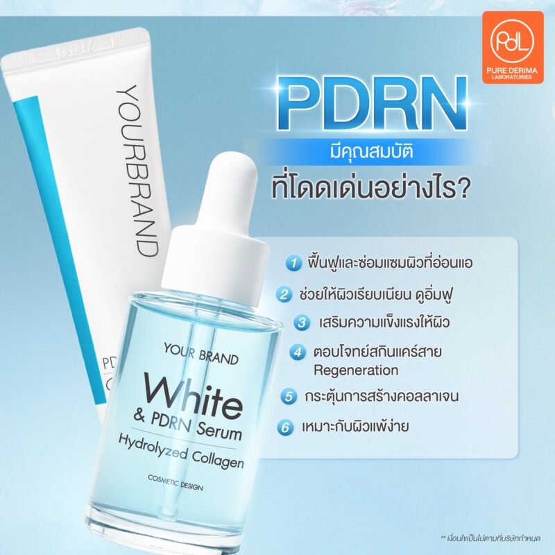 PDRN หรือ DNA ปลาแซลมอน คืออะไร? สารสกัดตัวดังที่แบรนด์สกินแคร์ไม่ควรมองข้าม 2 จุดเด่นของ PDRN หรือ DNA ปลาแซลมอนที่ทำให้หลายแบรนด์เลือกใช้