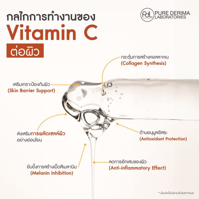 Longevity Beauty กับ Vitamin C สารสกัดสำคัญเพื่อผิวสวยสุขภาพดีระยะยาว 3 กลไกการทำงานของ Vitamin C ต่อผิว