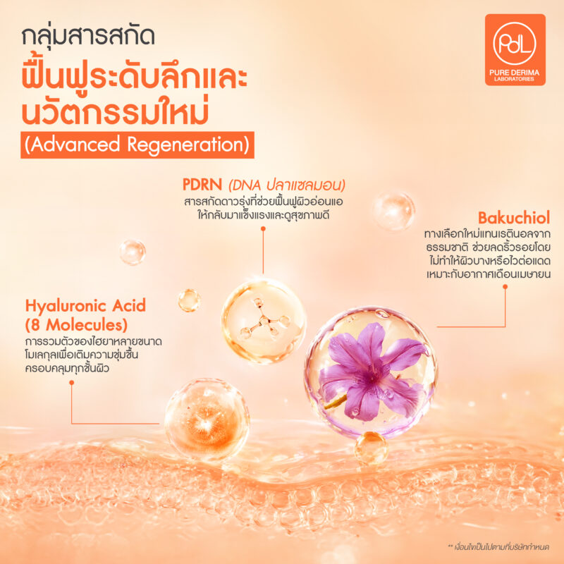 สารสกัดขายดีในตลาดสกินแคร์ 2026 4 สารสกัดขายดีกลุ่มดีฟื้นฟูระดับลึกและนวัตกรรมใหม่ (Advanced Regeneration)