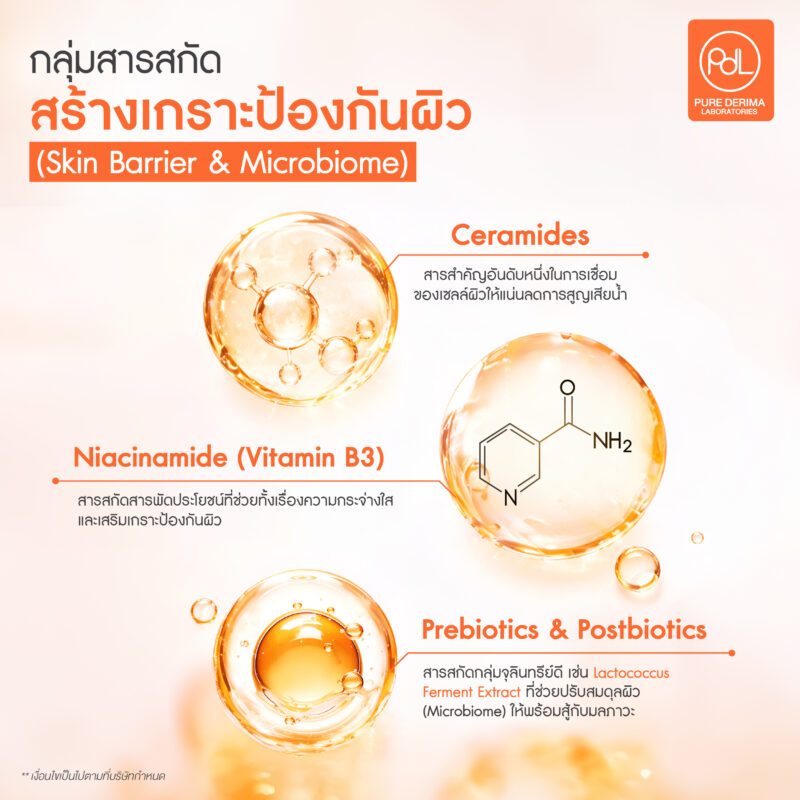 สารสกัดขายดีในตลาดสกินแคร์ 2026 2 สารสกัดขายดีกลุ่มเสริมเกราะป้องกันผิว (Skin Barrier & Microbiome)