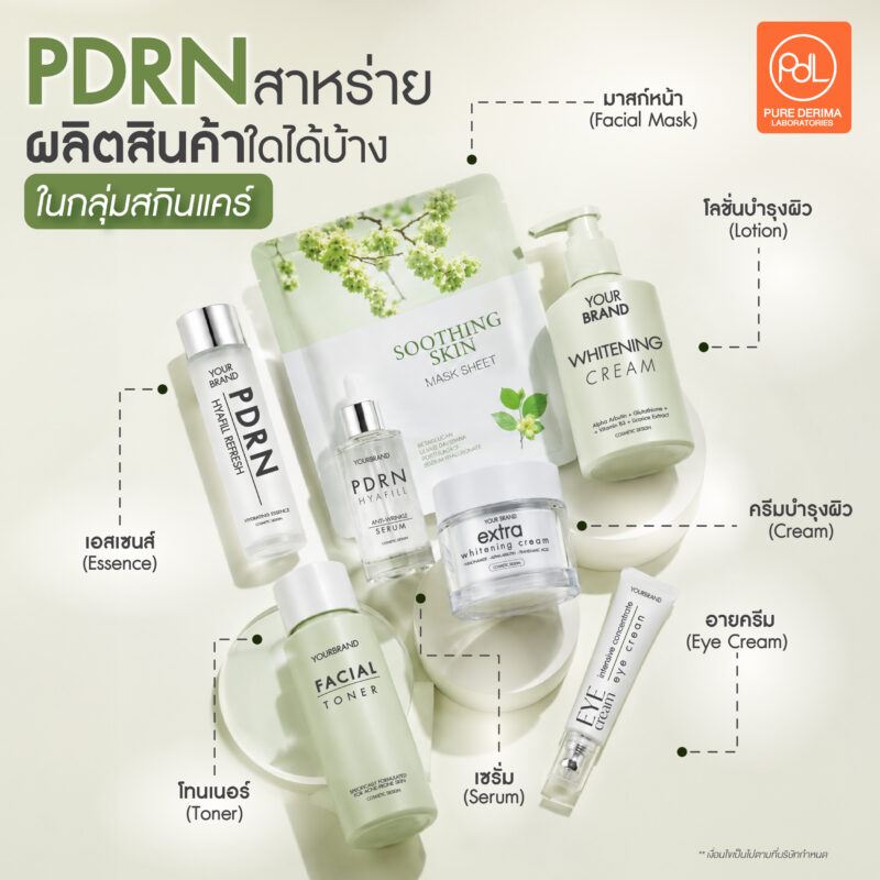 PDRN สาหร่าย ผลิตสินค้าใดได้บ้าง? รวมไอเดียสินค้าสำหรับเจ้าของแบรนด์ 2 PDRN สาหร่าย ผลิตสินค้าใดได้บ้างในกลุ่มสกินแคร์