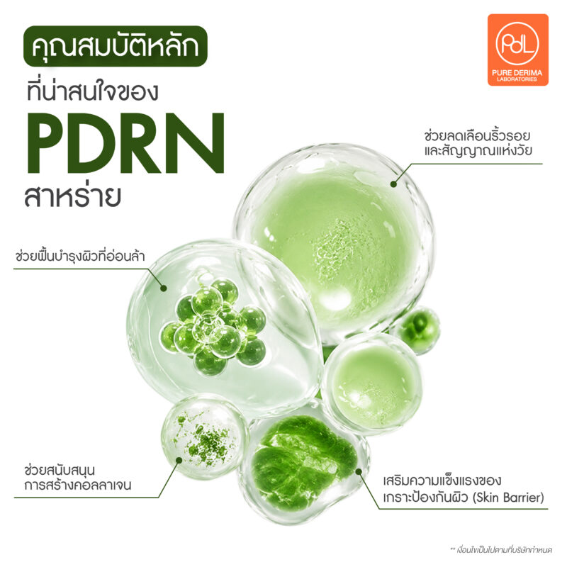 เจาะกระแส PDRN สาหร่าย สารสกัดดังในตลาดสกินแคร์ 2 คุณสมบัติหลักที่น่าสนใจของ PDRN สาหร่าย