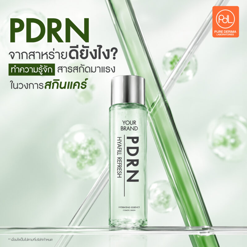 PDRN สาหร่ายดียังไง? เจาะลึกคุณสมบัติที่ช่วยเพิ่มจุดขายให้แบรนด์ 2 PDRN สาหร่ายดียังไง? ทำความรู้จักสารสกัดมาแรงในวงการสกินแคร์