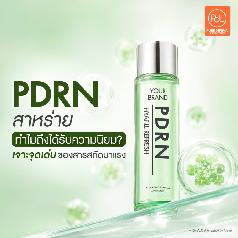 PDRN สาหร่ายทำไมถึงได้รับความนิยม? สารสกัดมาแรงในสกินแคร์ 2 PDRN สาหร่ายทำไมถึงได้รับความนิยม? เจาะจุดเด่นของสารสกัดมาแรง
