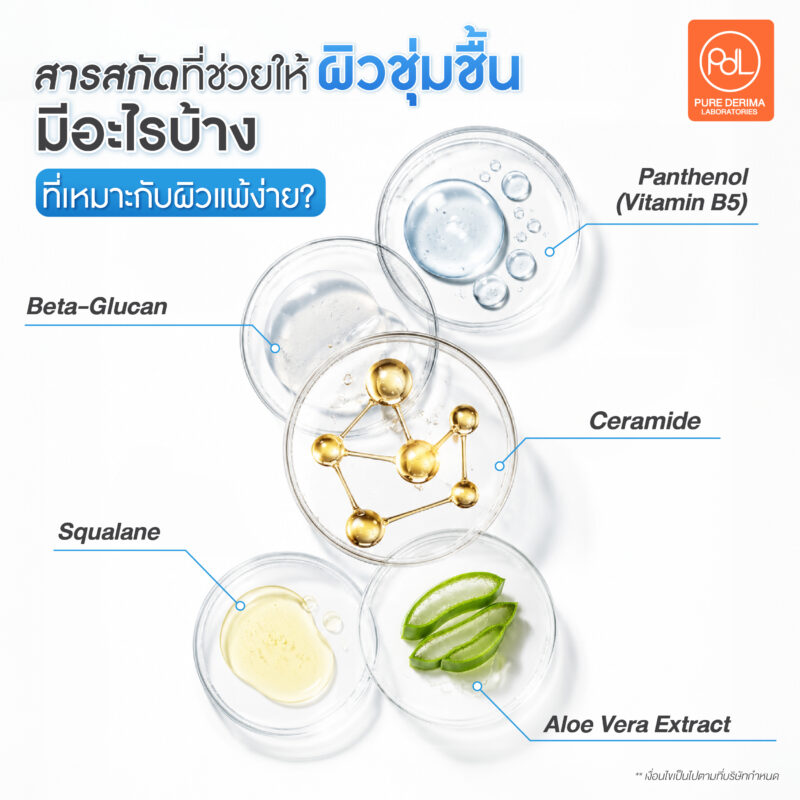 สารสกัดที่ช่วยให้ผิวชุ่มชื้นมีอะไรบ้าง? รวมสารสกัดเด็ดที่น่ามาทำแบรนด์ 2 สารสกัดที่ช่วยให้ผิวชุ่มชื้นมีอะไรบ้างที่เหมาะกับผิวแพ้ง่าย?