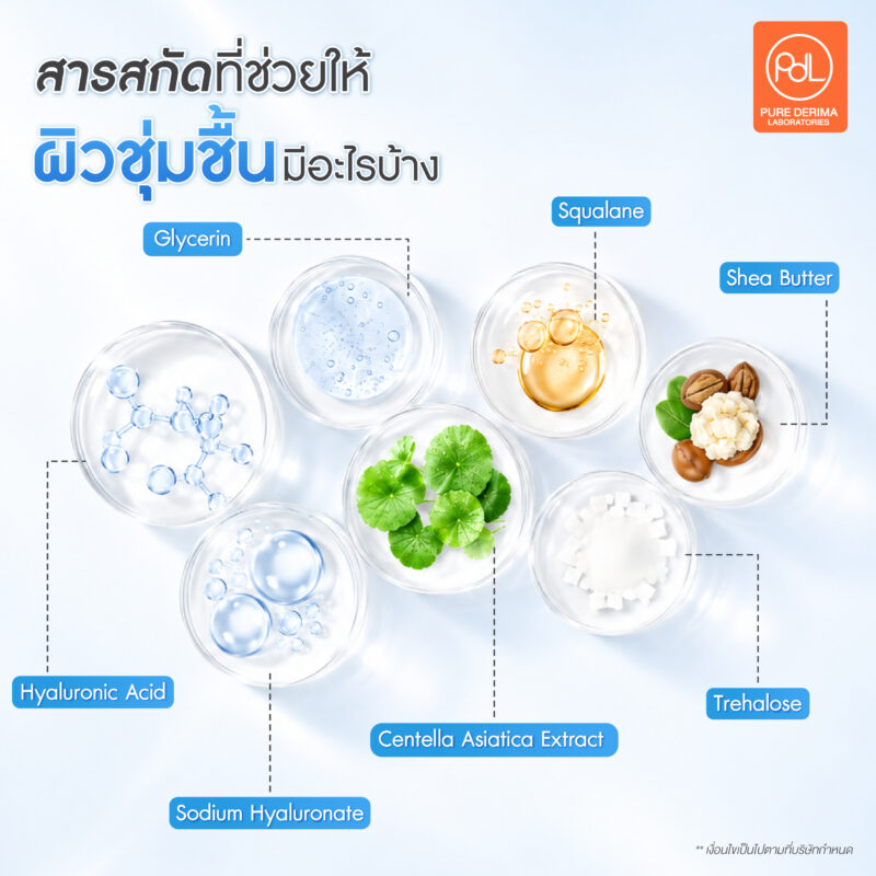 สารสกัดที่ช่วยให้ผิวชุ่มชื้นมีอะไรบ้าง? รวมสารสกัดเด็ดที่น่ามาทำแบรนด์ 3 สารสกัดที่ช่วยให้ผิวชุ่มชื้นมีอะไรบ้าง? รวมสารสกัดเด็ดที่น่ามาทำแบรนด์