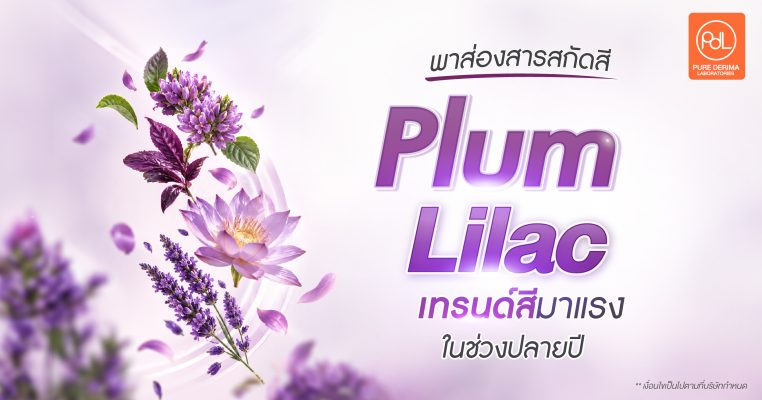 สี Plum Lilac