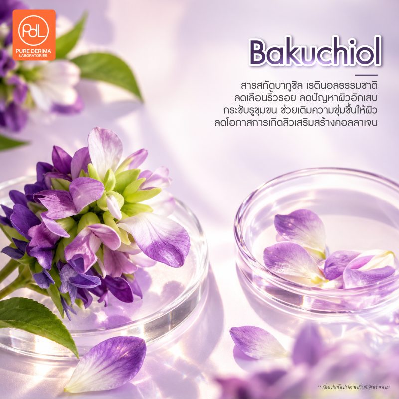 พาส่องสารสกัดสี Plum Lilac เทรนด์สีมาแรงในช่วงปลายปี 2 Bakuchiol (บากูชิออล) สารสกัดสี Plum Lilac