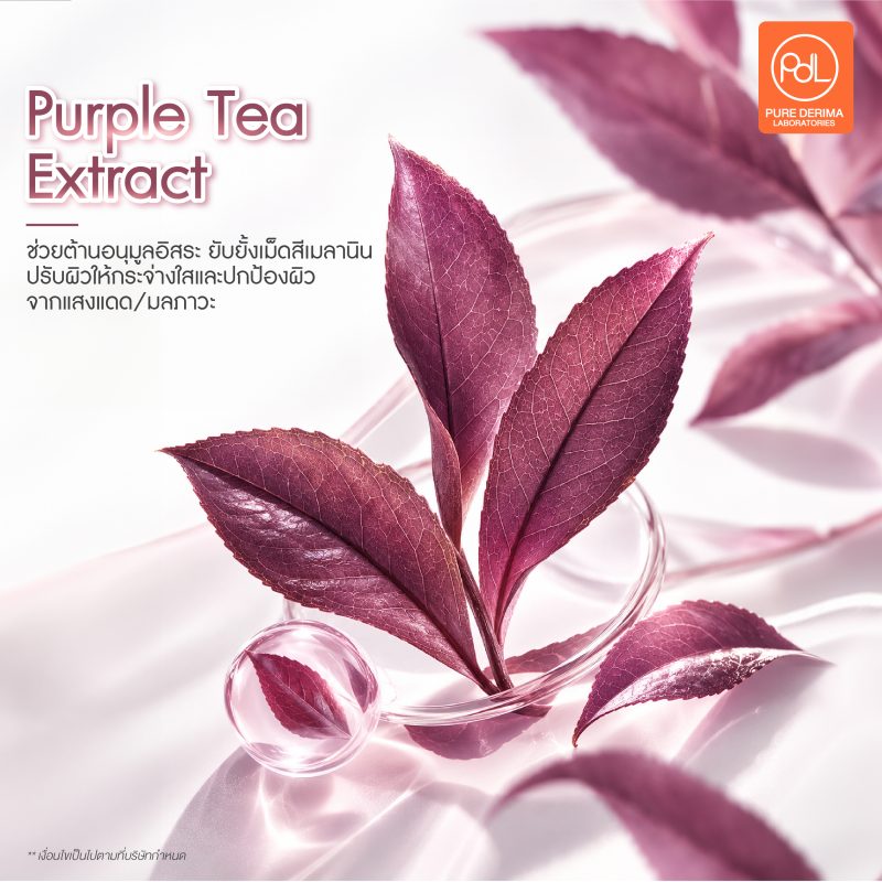 พาส่องสารสกัดสี Plum Lilac เทรนด์สีมาแรงในช่วงปลายปี 3 Purple Tea Extract สารสกัดสี Plum Lilac