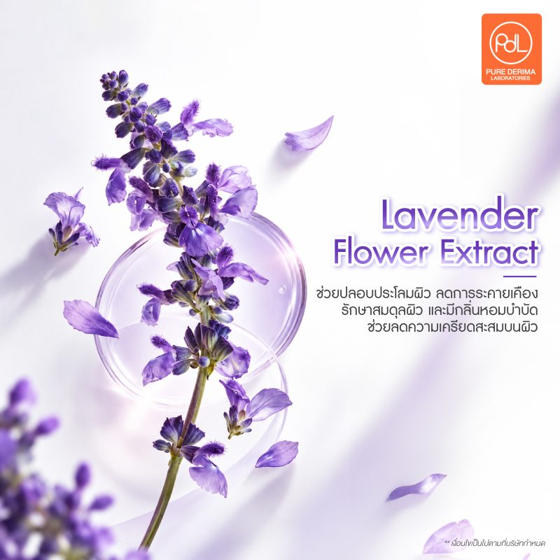 พาส่องสารสกัดสี Plum Lilac เทรนด์สีมาแรงในช่วงปลายปี 4 Lavender Flower Extract สารสกัดสี Plum Lilac