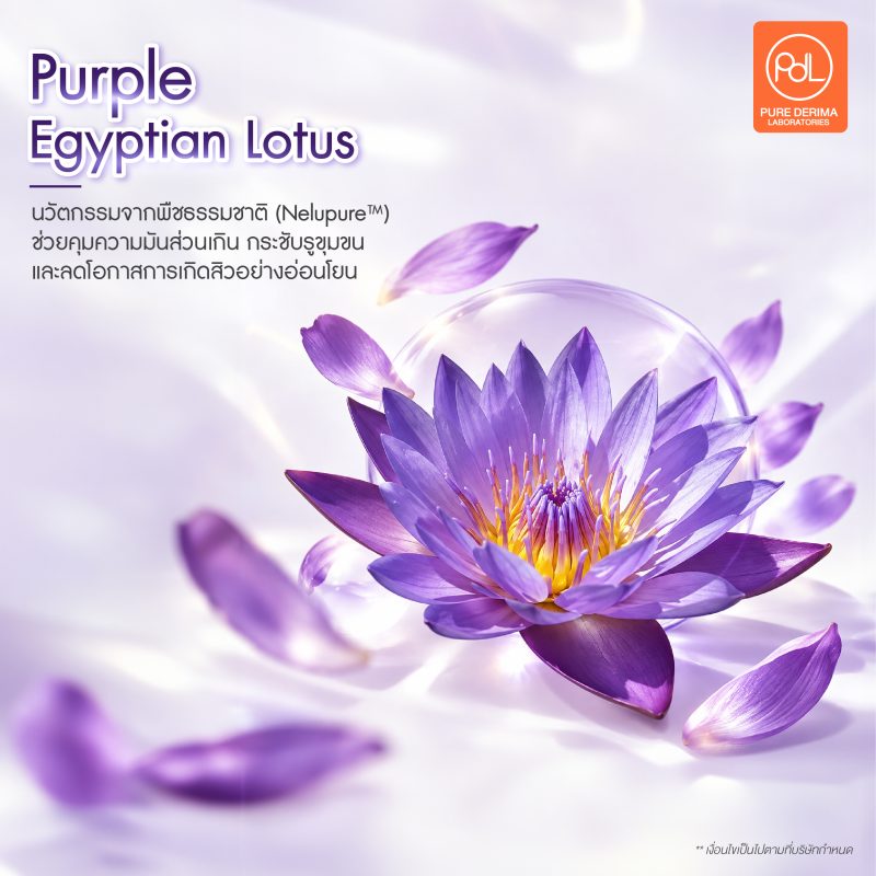 พาส่องสารสกัดสี Plum Lilac เทรนด์สีมาแรงในช่วงปลายปี 5 Purple Egyptian Lotus สารสกัดสี Plum Lilac